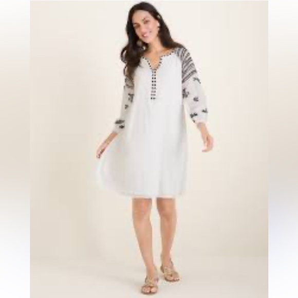 Chico's Dresses & Skirts - Chico's Cream Black Embroidered Dress Large
